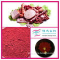 Monascus colorant Natural Meat Colorant high color value